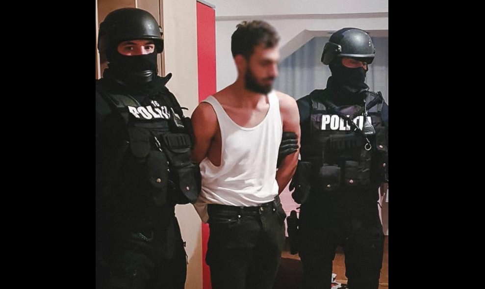 criminalul fetitei arse din arad