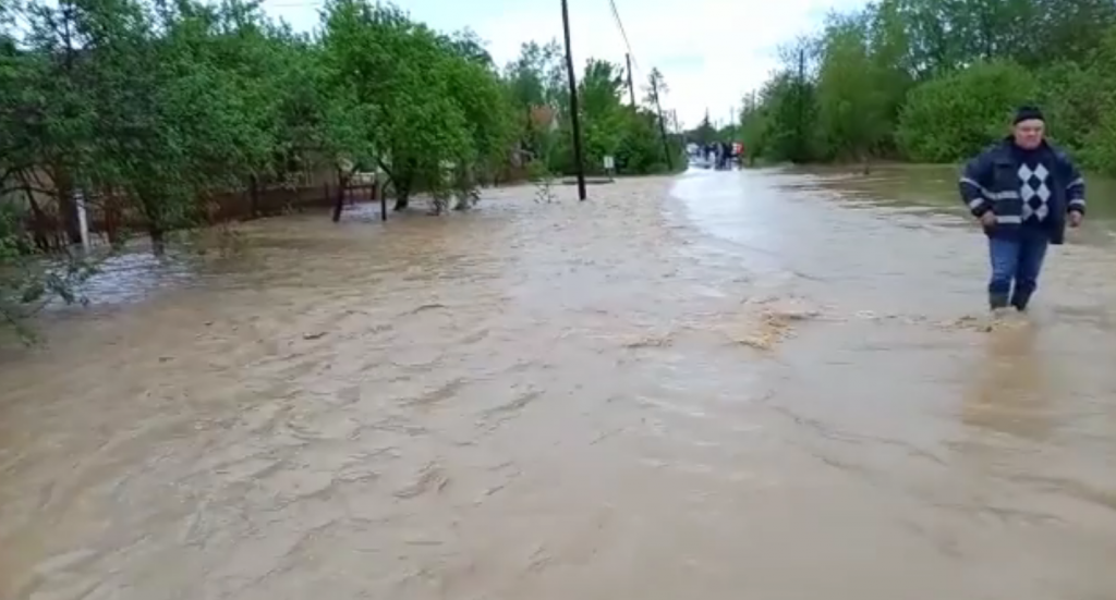 VIDEO. Inundații în Satu Mare: 100 de oameni au fost evacuați. Sute de animale moarte sau dispărute. Meteorologii au emis Cod Roșu
