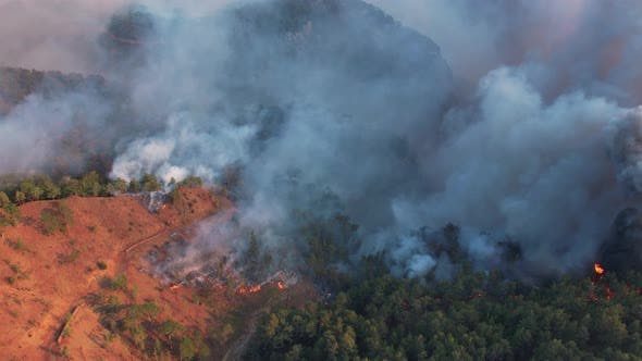 incendiu thassos