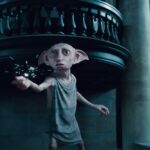 Fanii Harry Potter îl „salvează” din nou pe Dobby. Un proiect energetic de 500 de milioane de euro a fost deviat pentru a ocoli „mormântul” lui Dobby