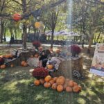 Unde ieși în weekend? Descoperă festivalurile cu dovleci, preparatele transilvănene și evenimentele culturale din București, Bran și Timișoara